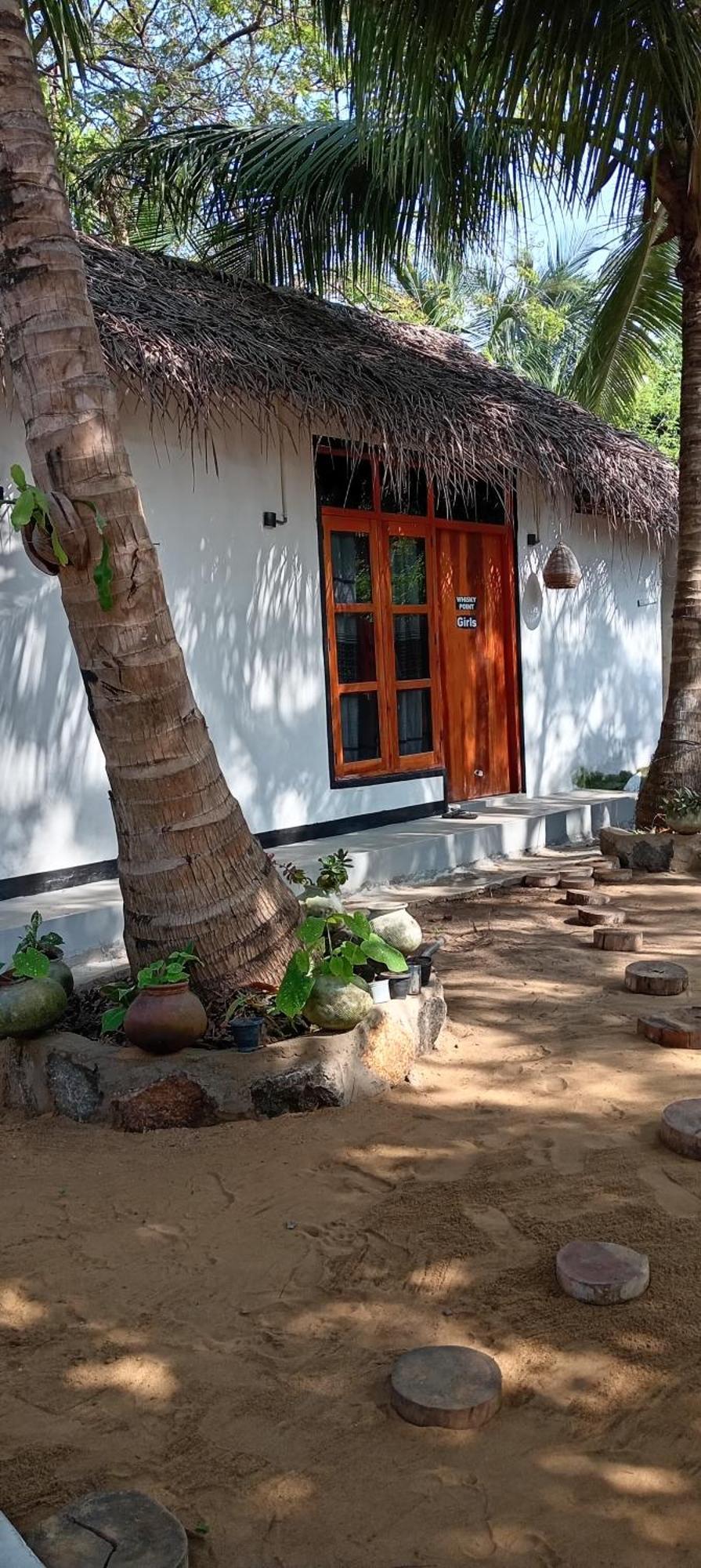 Surfing Lion Hostel 阿鲁甘湾 外观 照片