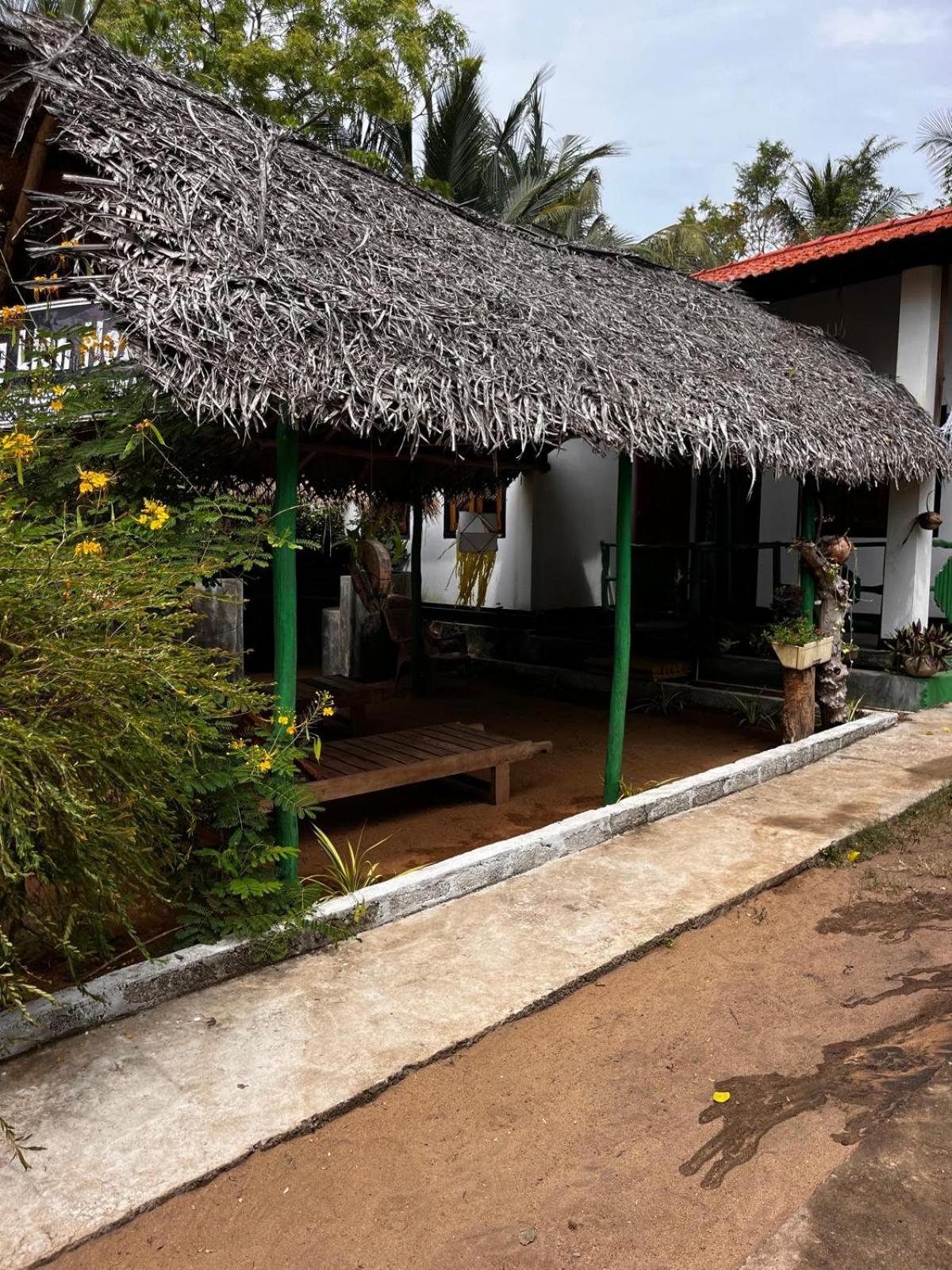 Surfing Lion Hostel 阿鲁甘湾 外观 照片
