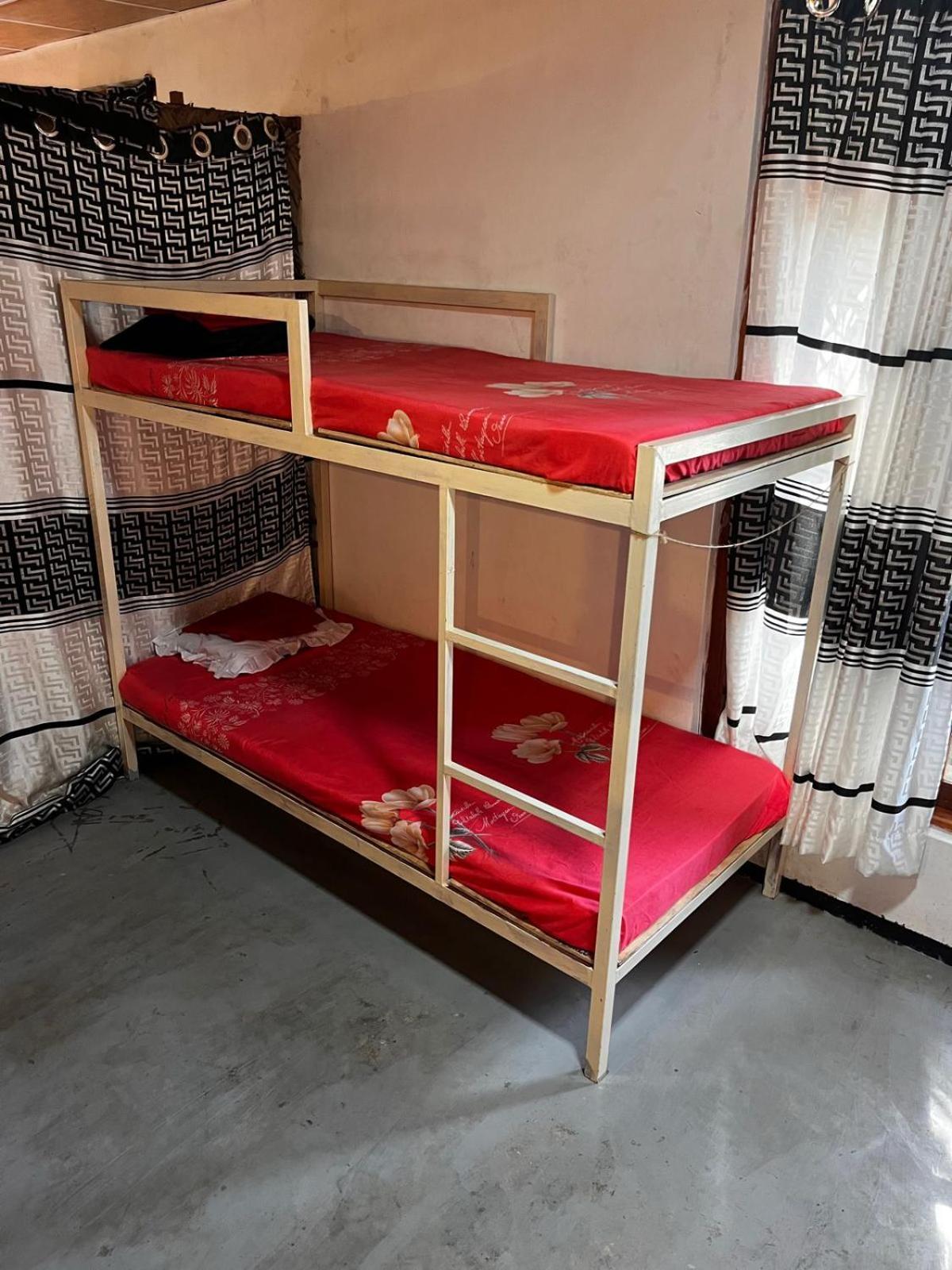Surfing Lion Hostel 阿鲁甘湾 外观 照片
