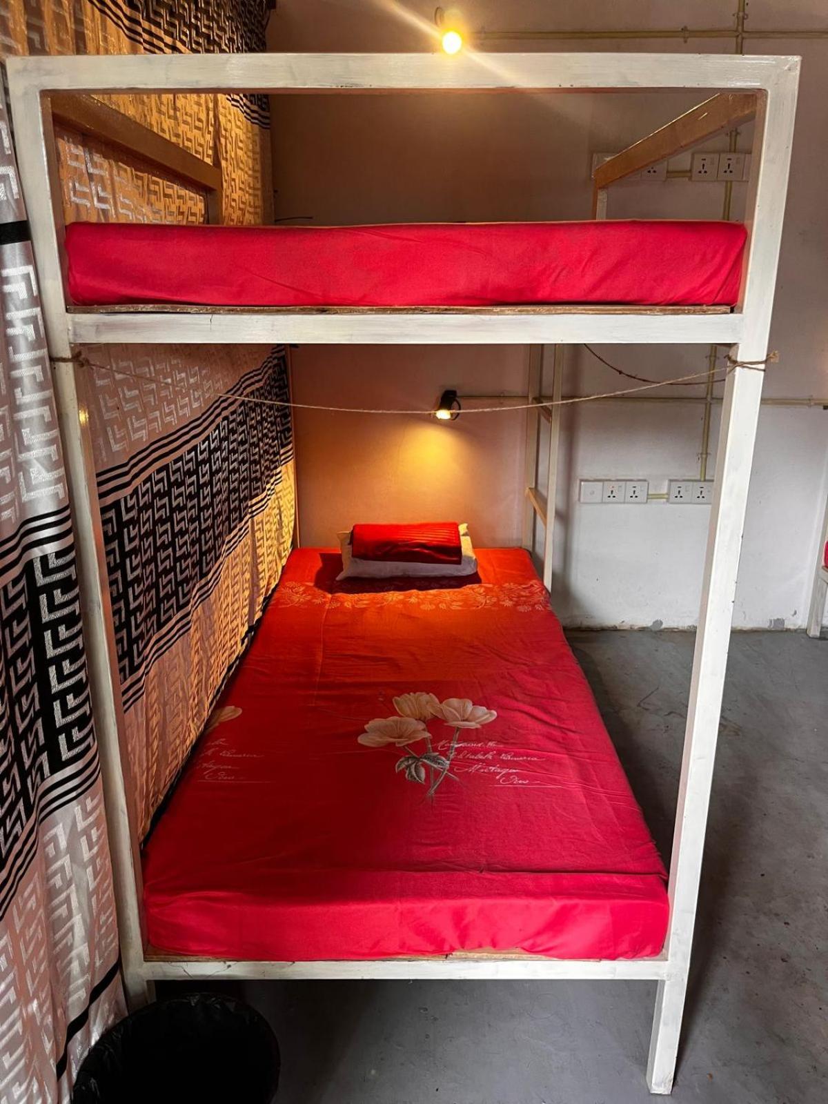 Surfing Lion Hostel 阿鲁甘湾 外观 照片