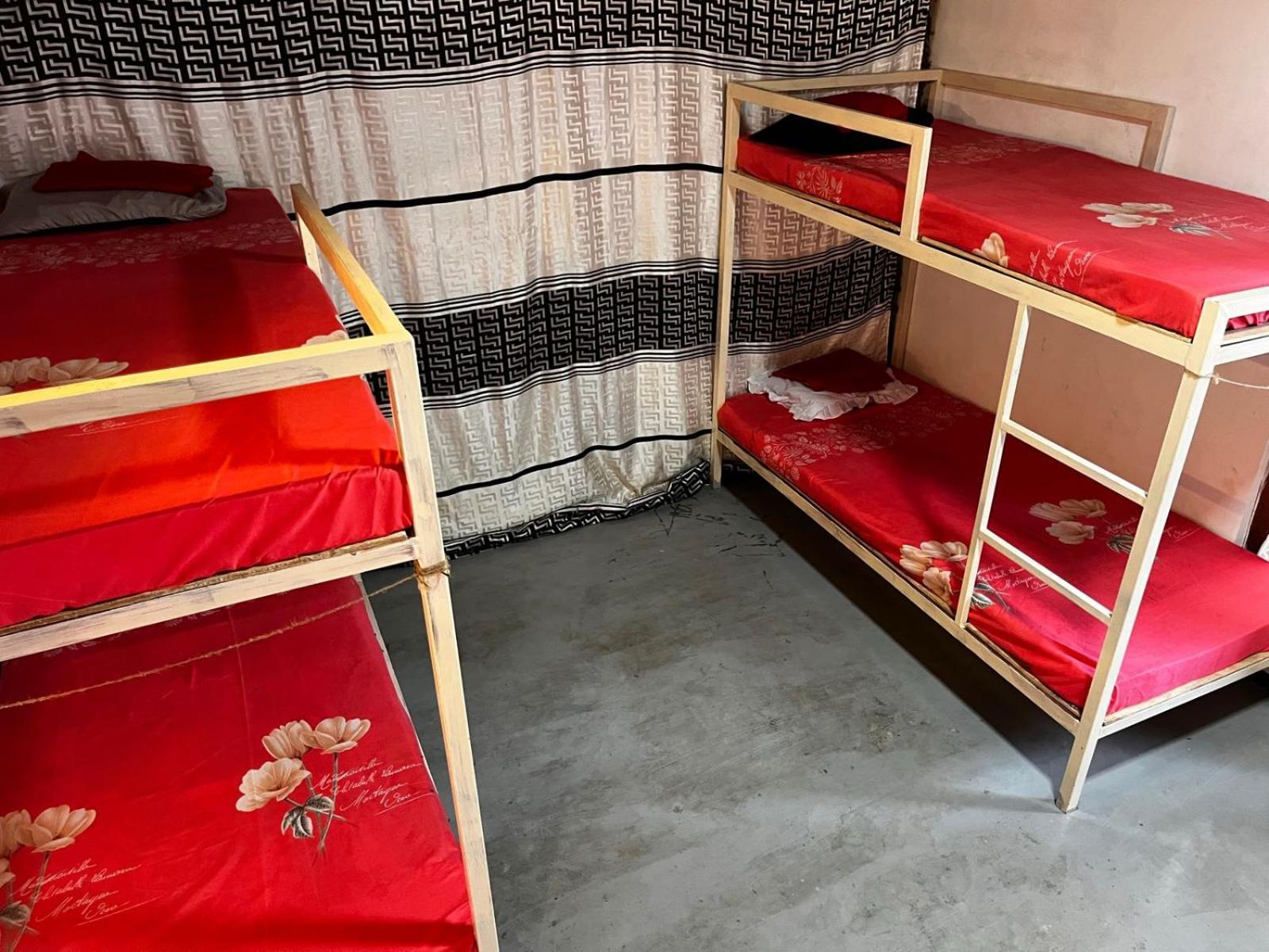 Surfing Lion Hostel 阿鲁甘湾 外观 照片
