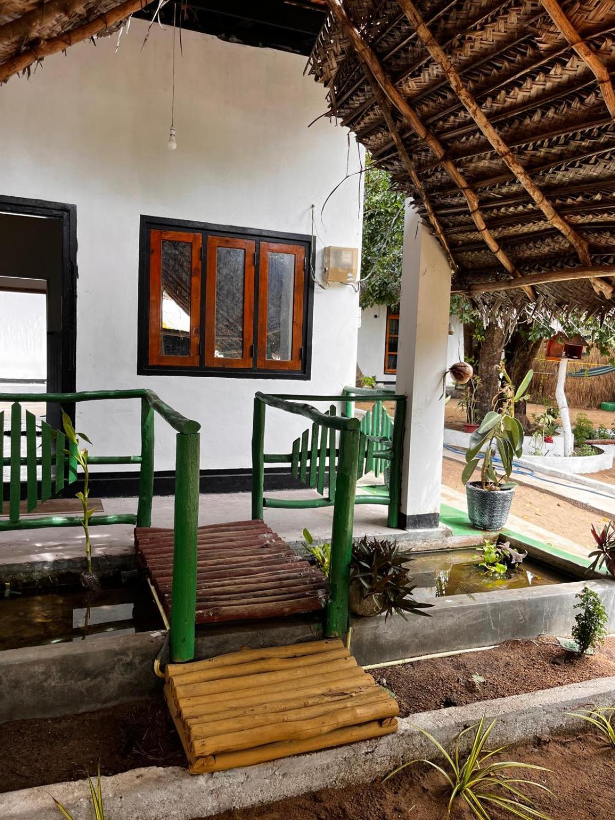 Surfing Lion Hostel 阿鲁甘湾 外观 照片