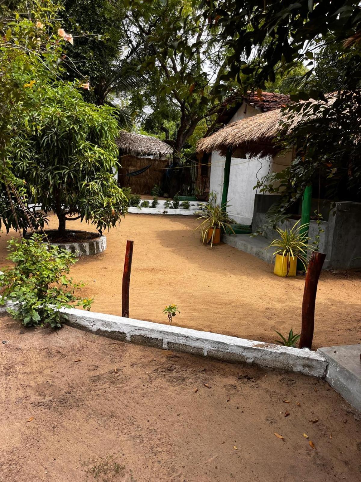 Surfing Lion Hostel 阿鲁甘湾 外观 照片