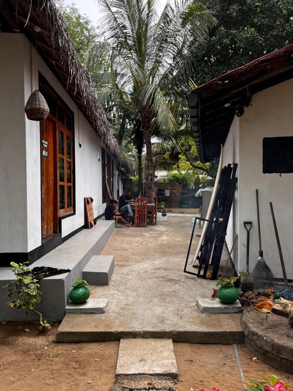 Surfing Lion Hostel 阿鲁甘湾 外观 照片