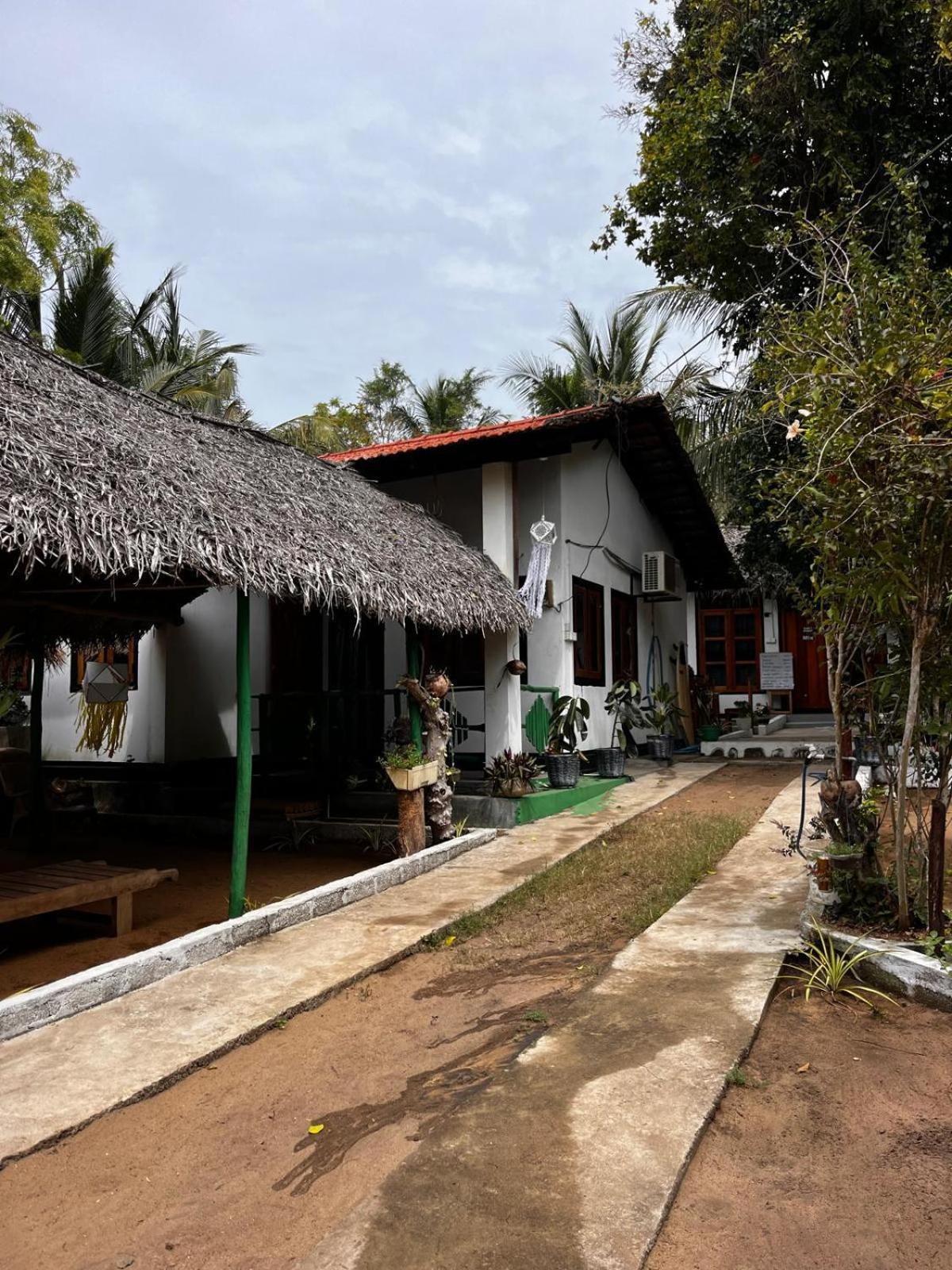 Surfing Lion Hostel 阿鲁甘湾 外观 照片