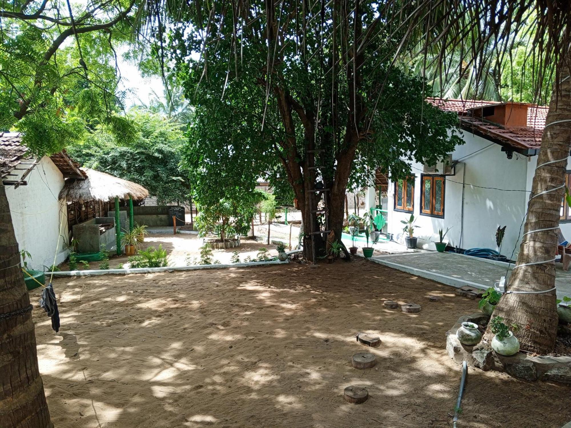 Surfing Lion Hostel 阿鲁甘湾 外观 照片